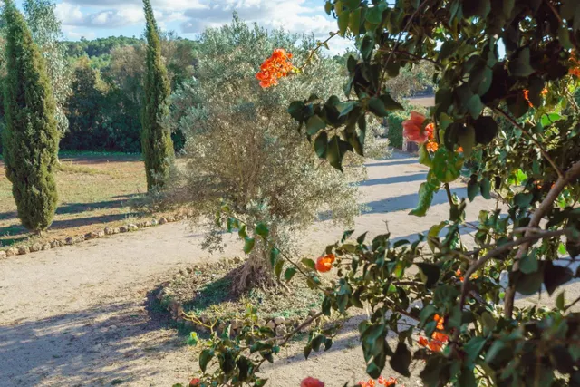 Una finca familiar cuidada con esmero que reúne lo mejor de dos mundos — 27