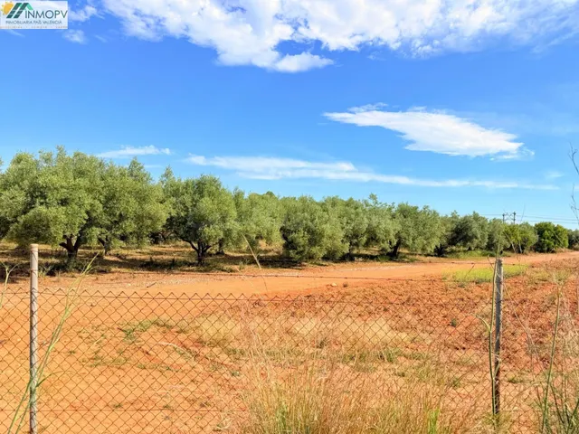 ¡OPORTUNIDAD! PARCELA RÚSTICA DE 3.900 m2 EN PEÑÍSCOLA CON A