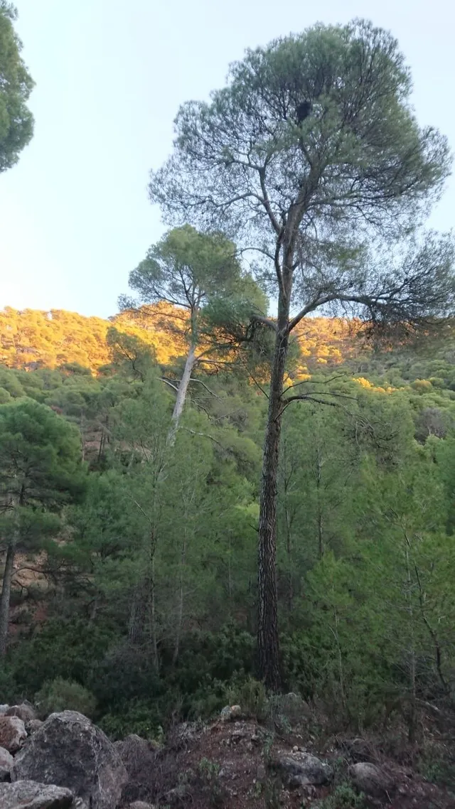 SE VENDE PARCELA EN TOTANA (MURCIA) — 4