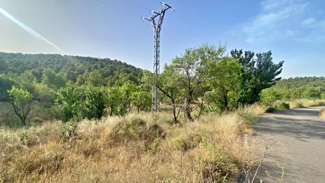 FINCA DE 6 Hectáreas con CASA CORTIJO para reformar — 9