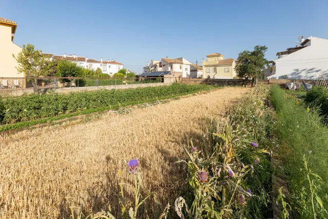 TERRENO URBANO 1060m EN LA ZUBIA — 8