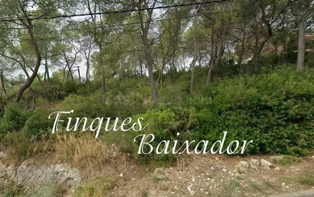 ¡FINQUES BAIXADOR PRESENTA ESTE SOLAR PARA CONSTRUIR TU CASA - foto 2