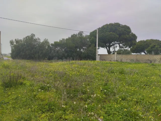 VENTA DE PARCELA NOVO SANTI PETRI - foto 2