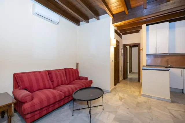Barrio del Realejo. Precioso apartamento de un dormitorio y un baño junto al Campo del Príncipe. — 4
