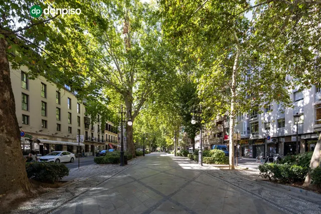 Piso y cochera en venta junto Acera de Darro. — 43