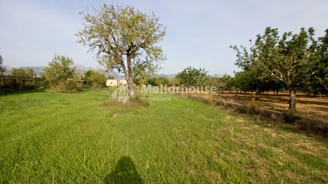 Finca rústica 1 habitación 68m² en venta - Campanet-Buger - foto 5