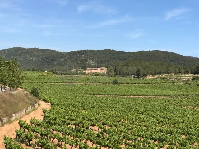 Finca rústica con dos casas a cinco minutos de Sitges. — 2