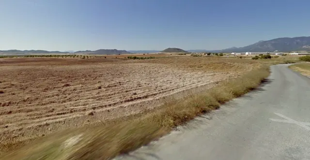 VENTA FINCA CULTIVO EN ZARZILLA DE RAMOS - foto 4