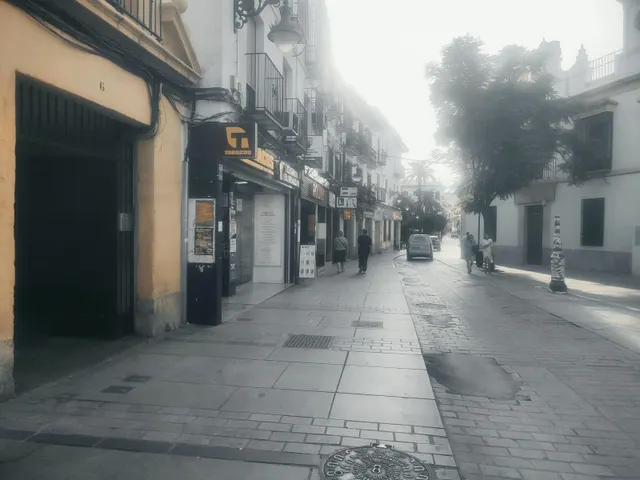 Estupendo local en realejo, muchas opciones de negocio!!! — 14