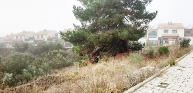 Urbis te ofrece unas parcelas en venta en Boecillo, Valladolid. — 14