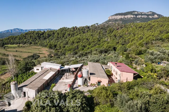 Granja con posibilidad de 2 vivendas.y 1 Ha de terreno — 4