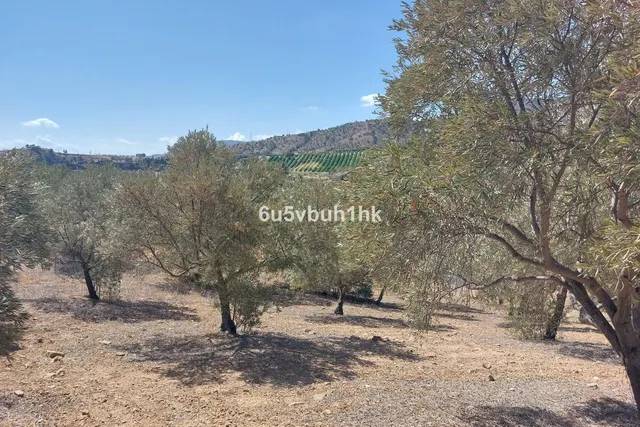 Parcela en venta - Alora pueblo — 6