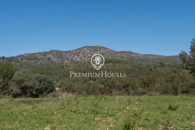Masia a reformar con gran terreno en Mas d'en Rafael - foto 5