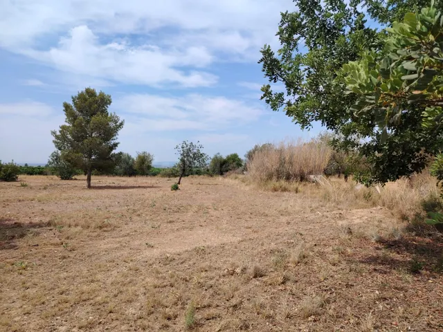 TERRENO RURAL EN LLÍRIA - foto 3