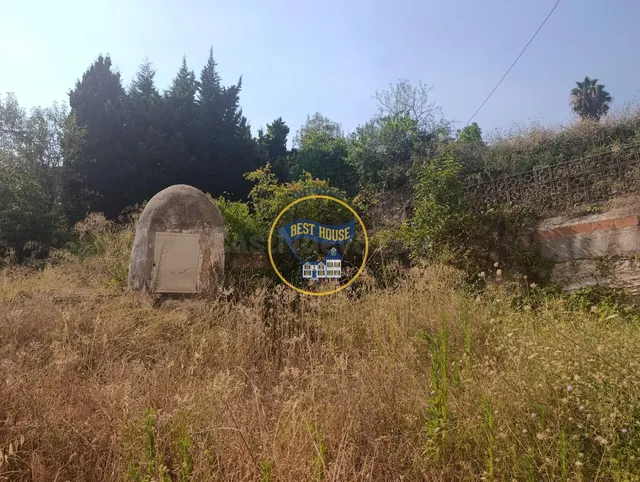 OPORTUNIDAD FINCA RUSTICA PROXIMA A LA POBLACION DE ONTINYEN - foto 4