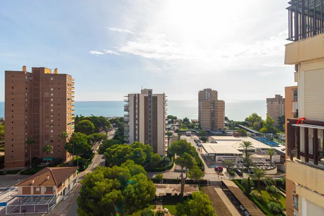Apartamento 1 habitación 42m² en venta - Campoamor — 10