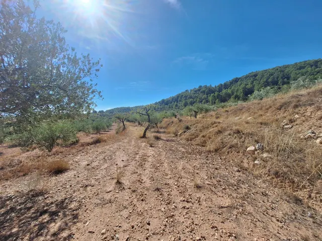 Terreno agrícola con olivos, almendros y vistas al Castillo de Castalla — 17.000 € — 9