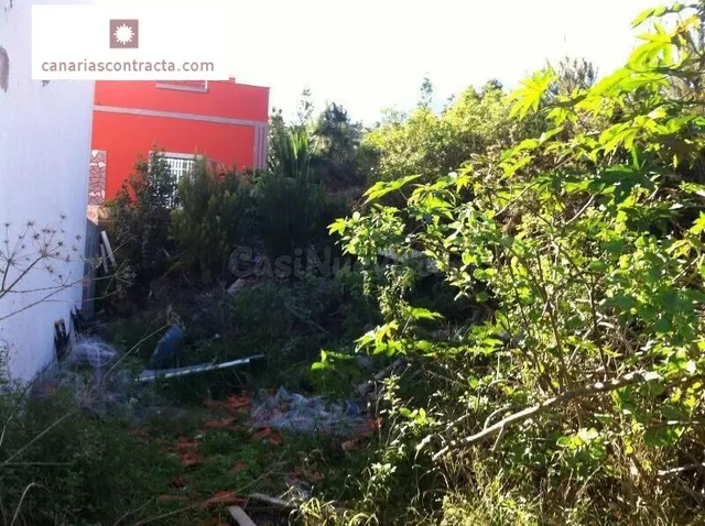 TERRENO URBANO EN LA GUANCHA - foto 2