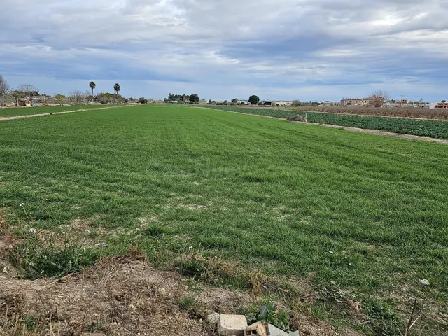 parcela rústica agraria de 7500m2 en Dolores