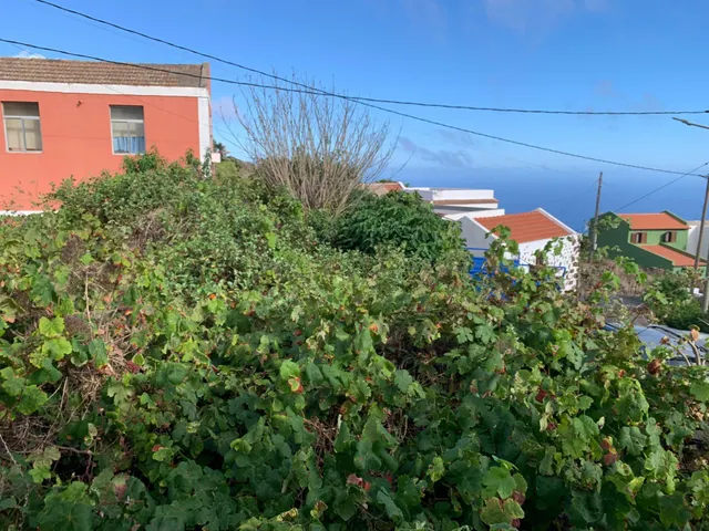 Casa con terreno y muchas posibilidades en El Hoyo del Barrio, El Hierro — 9