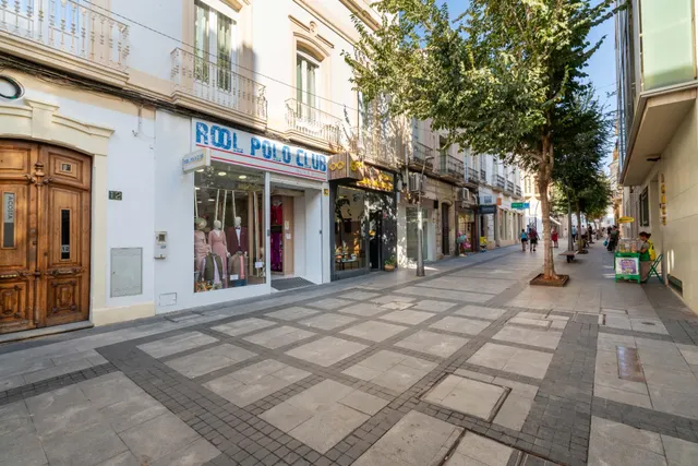 LOCAL COMERCIAL EN CALLE REYES CATOLICOS 12 — 9