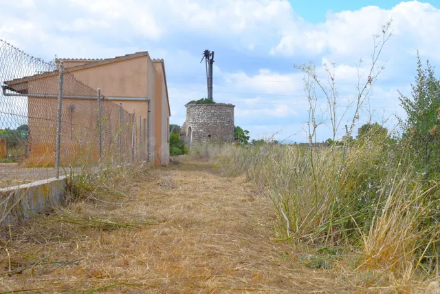 Finca con Molino con vistas a la Serra de Tramuntana en Muro - foto 2