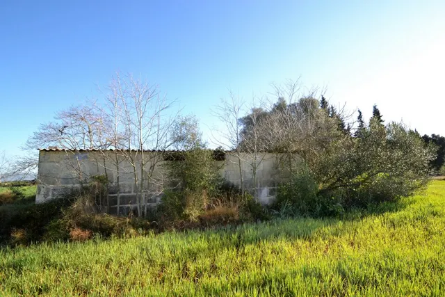 Finca con proyecto aprobado en Llubi — 10