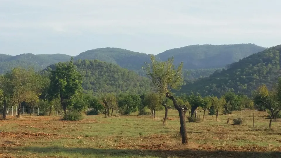 Parcela en bunyola con proyecto de construcción