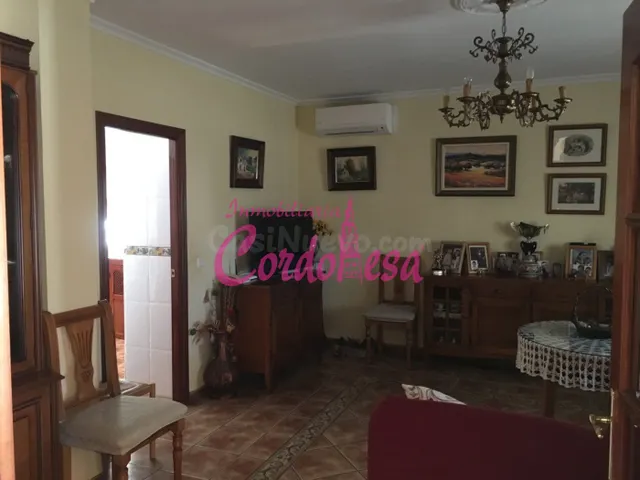 MAGNIFICO CASA CON TERRRENO EN ALCOLEA!! — 4