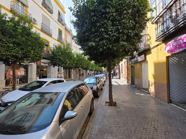 ¡Descubre el potencial de esta joya arquitectónica en el corazón del vibrante barrio de Feria! — 27