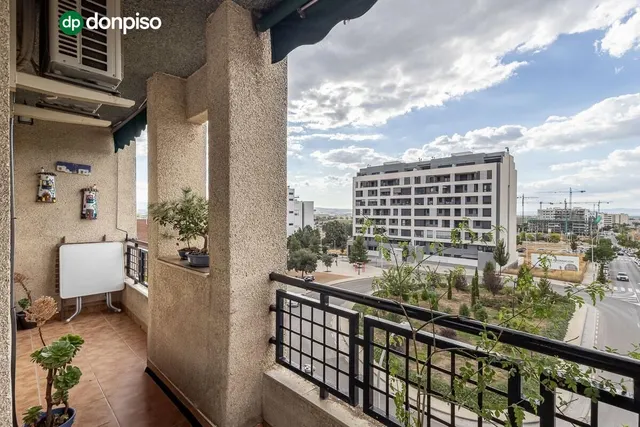 Piso reformado junto a estadio de la juventud — 4