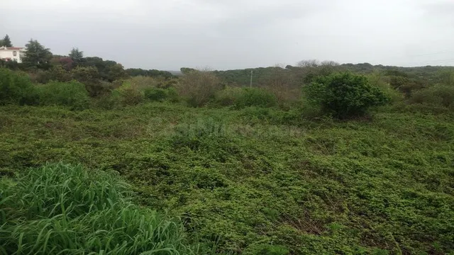 Parcela en Santa María de Trasierra (Córdoba)