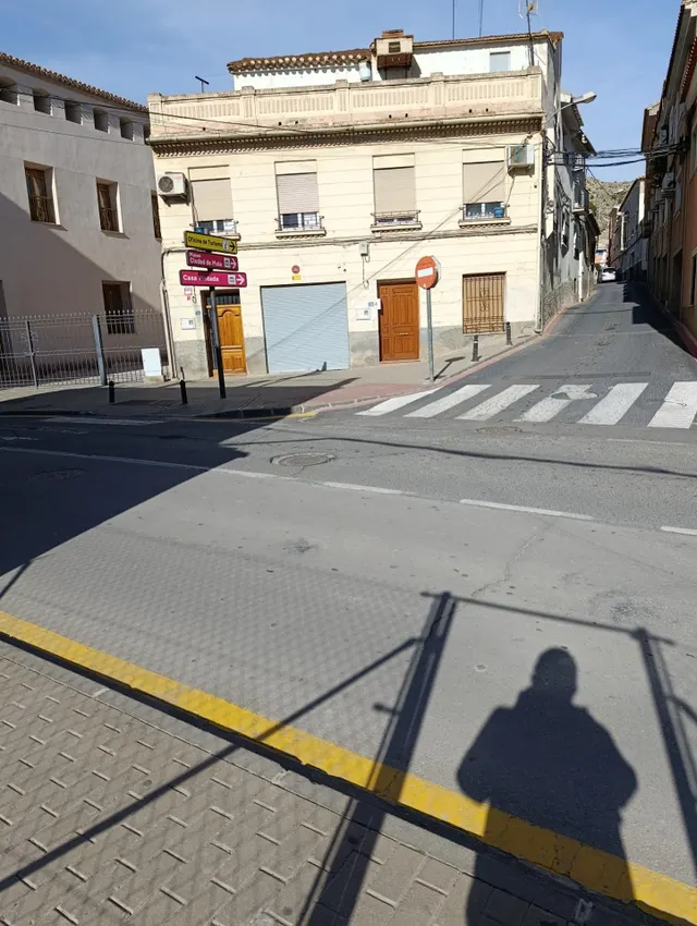 TERRENO UBICADO EN ZONA CENTRICA DE MULA — 16
