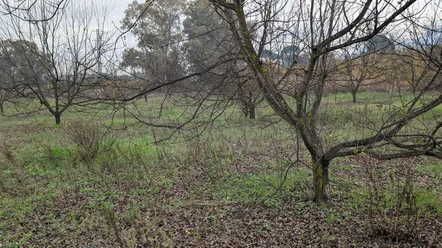 Parcela en venta - Puerto Sol-Los Almendros-El Tomillar — 18