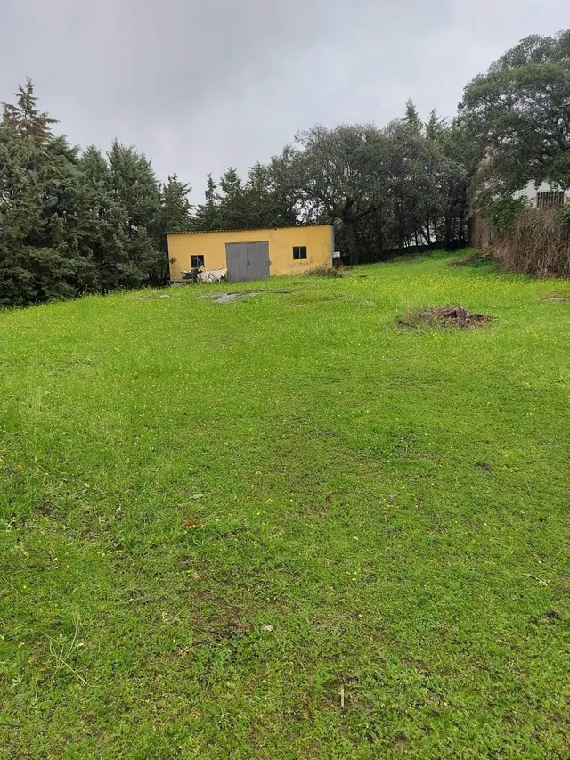 EXCLUSICA CASA EN ALDEA DEL CANO CON 8000 METROS DE PARCELA — 37