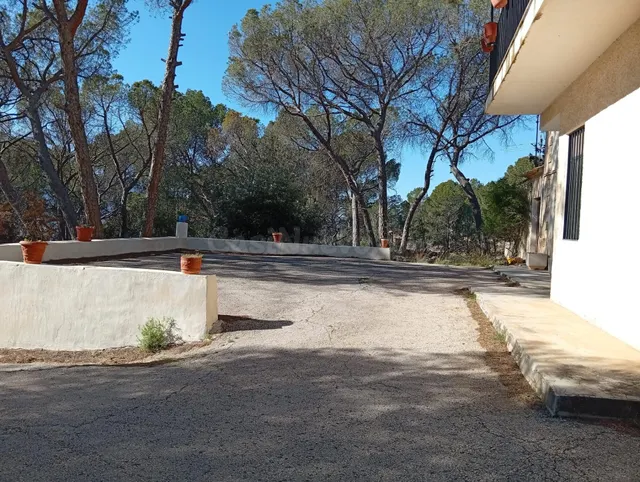VENTA FINCA RUSTICA CON CASA EN ONIL--ZONA "EL TORMO" - foto 3