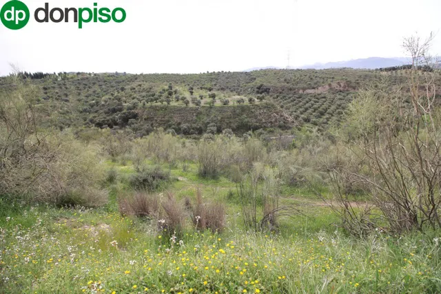 FINCA EN CORTIJO SAN JERÓNIMO (BARTODANO) — 36