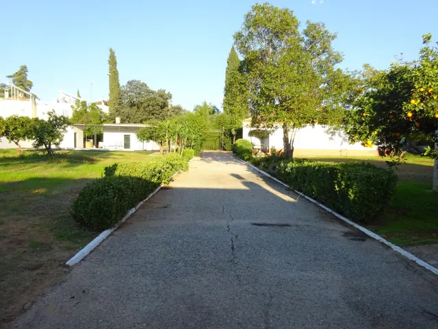 Chalet independiente de una planta en urbanización privada e - foto 4