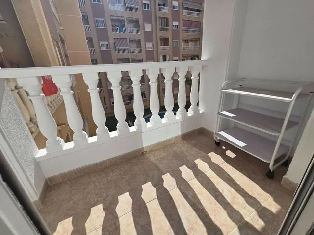 GRAN ESTUDIO EN TORREVIEJA: 1 ASEO — 9