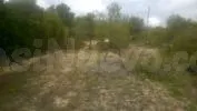 PARCELA PEGADA AL PUEBLO DE TORREMANZANAS - foto 2