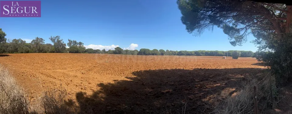 MAGNIFICA PARCELA EN LA MUELA