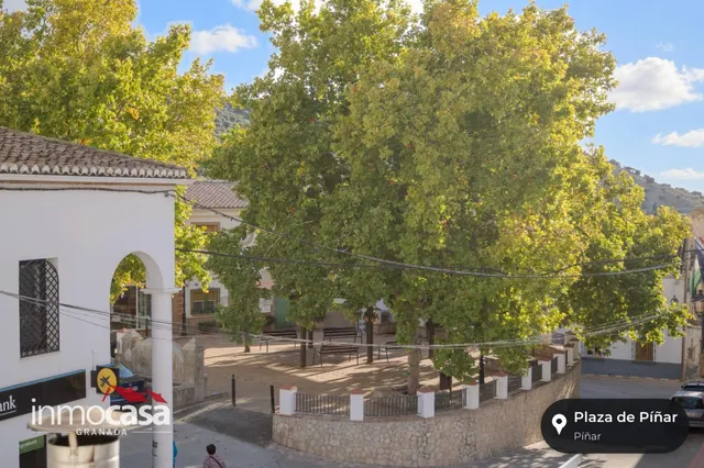 Se vende licencia de estanco única en piñar, Granada — 18