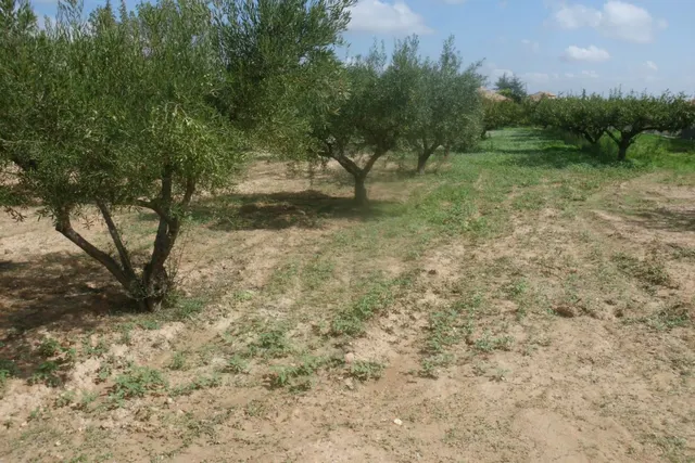 Terreno en Camí Les Boles - Ontinyent — 2