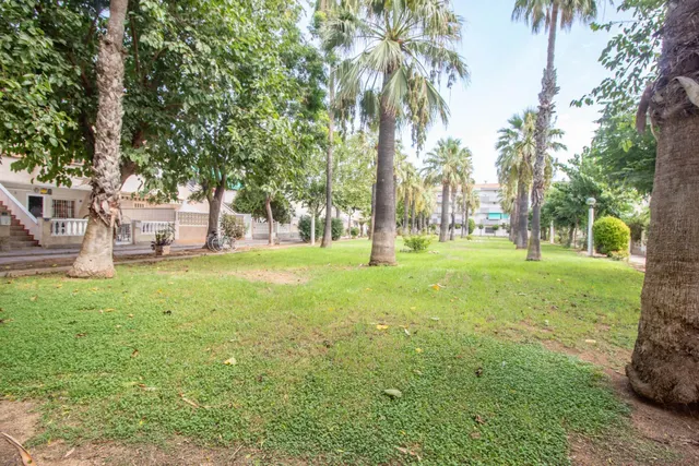 Apartamento 1 habitación 53m² en venta - Campoamor — 17