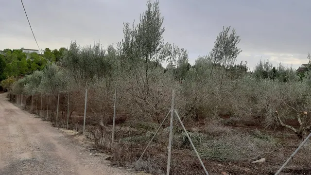 Casa con parcela  Camino de Los Puros — 18