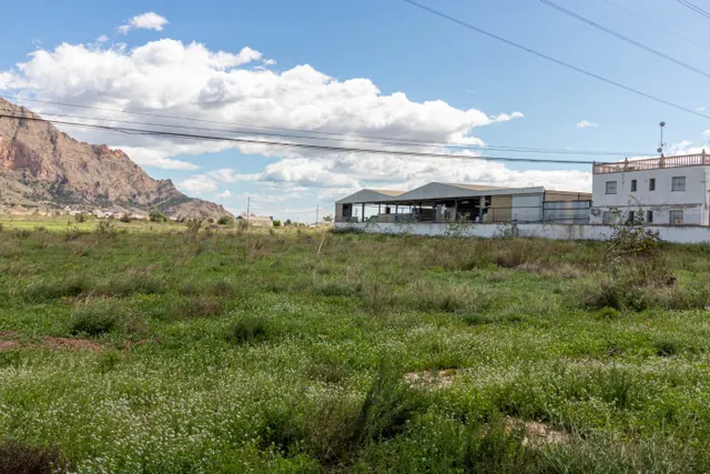 TERRENO DE 13.950 M2 EN ORIHUELA - ZONA POLÍGONO PUENTE ALTO — 10