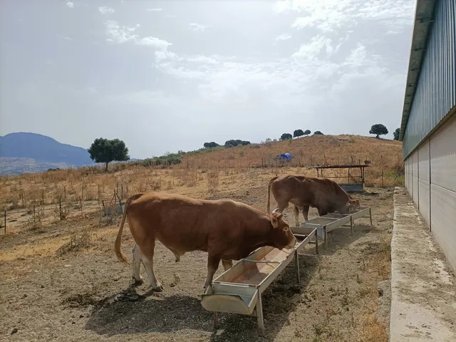 Finca Agrícola 800m² en venta - Riviera del sol — 10