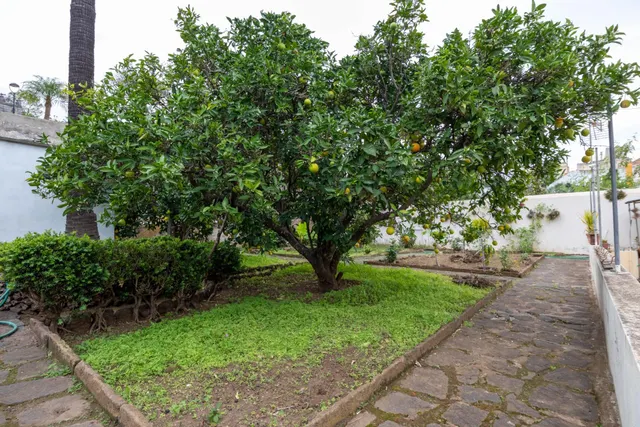 CASONA EN LA OROTAVA — 12