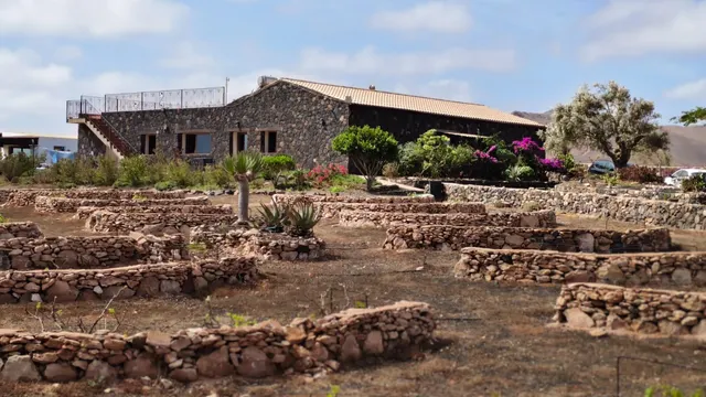 Finca de Lujo con Viñedo, Bodega Subterránea y Vistas Panorámicas al Atlántico — Fuerteventura — 7