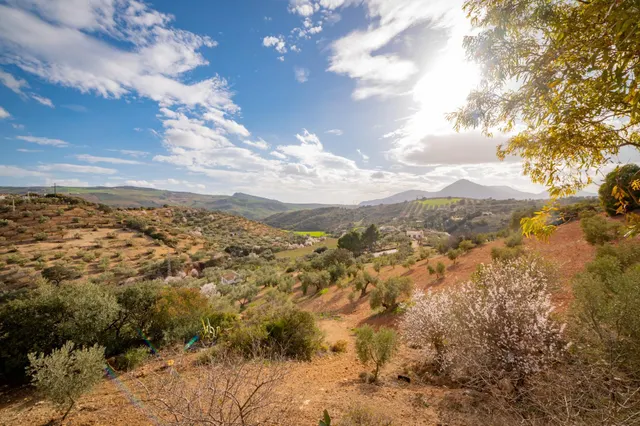 VENTA DE FINCA RUSTICA EN LA ZONA DE LA SIERRA DEL TORCAL — 13